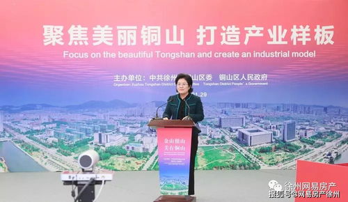 魔力徐州 高新技術企業(yè)遷入全國第二